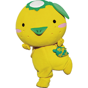 ゆずがっぱ